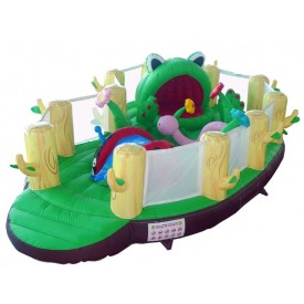 Mini Frog Playground