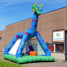 Fantastic Giraffe