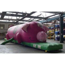 Second-hand Pig Tunnel