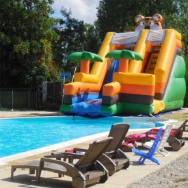 Toboggan Gonflable Aquatique Jungle pour piscine