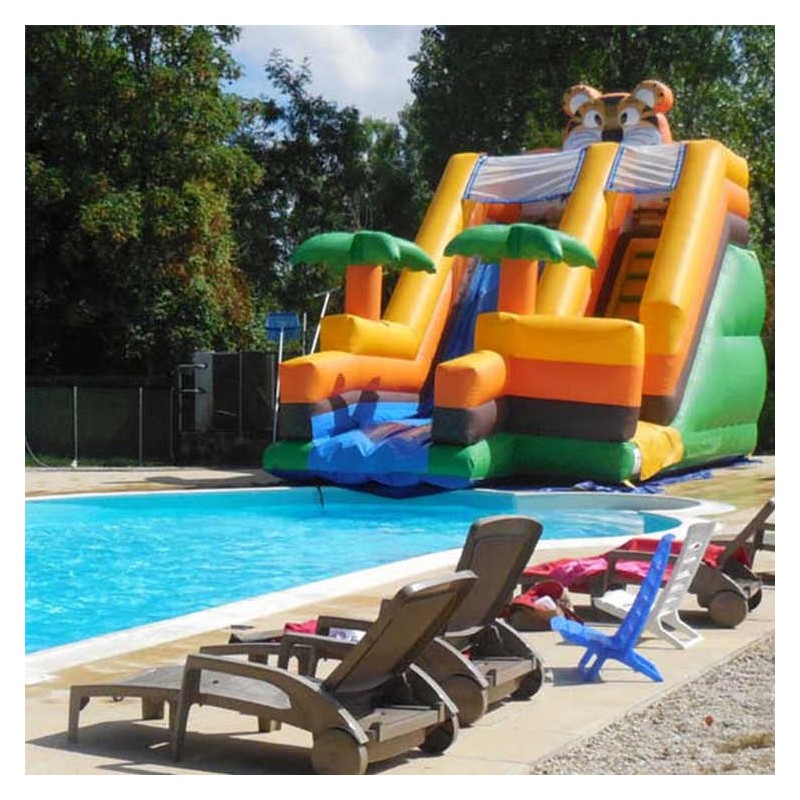 Toboggan Gonflable Aquatique Jungle pour piscine