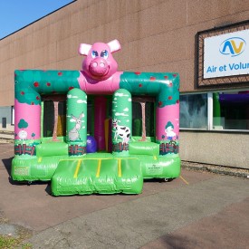 Bouncy Castle Farm
