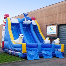 Whale Slide L