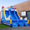 Toboggan MM Baleine