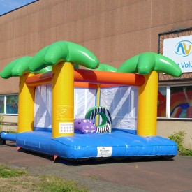 Safari Bouncy Castle