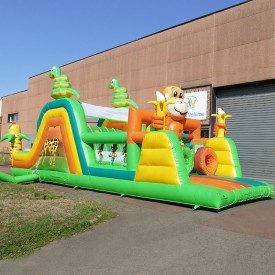 Inflatable Wild Animals Course