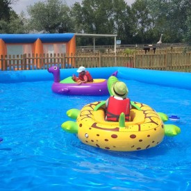 Décor Tortue pour Bateau Tamponneur
