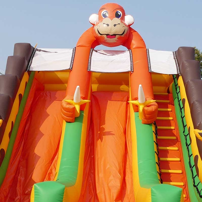 Toboggan Gonflable Singe Toboggan transformable en Jeu Aquatique