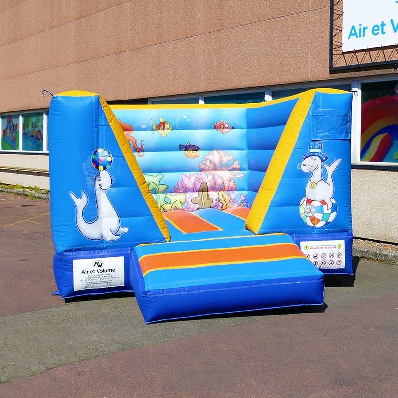 Jeu Gonflable Cube Mer
