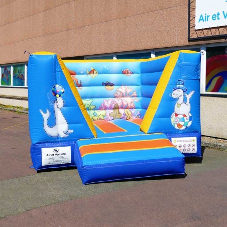 Jeu Gonflable Cube Mer