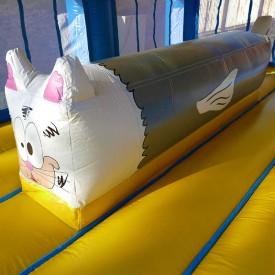 Château Gonflable Poisson-Chat