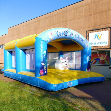 Château Gonflable Poisson-Chat