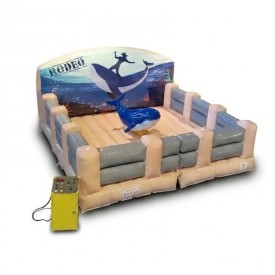 Rodéo Baleine Mécanique