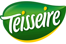 Teisseirre