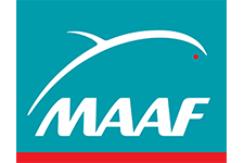 MAAF