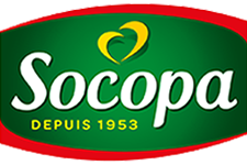 Socopa
