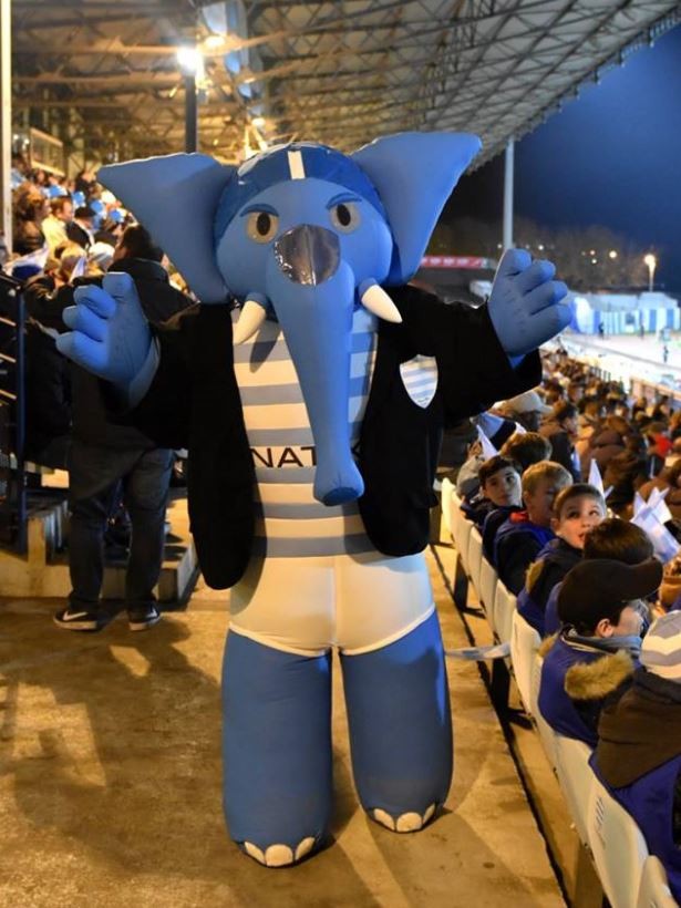 Costume Gonflable - Mascotte Mahout Racing 92